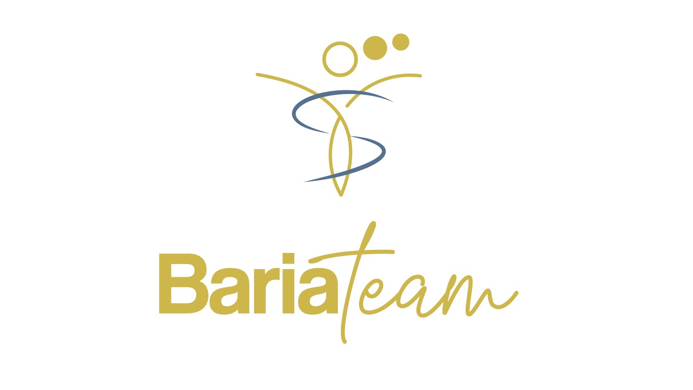 logo BariaTeam