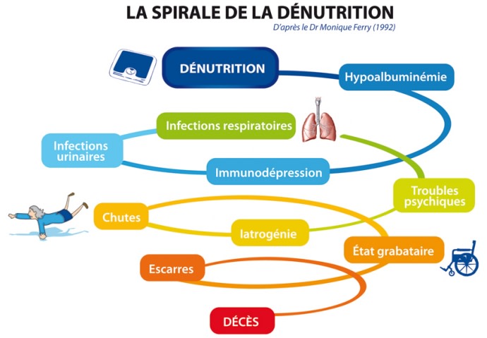 schéma sur la spirale de la dénutrition