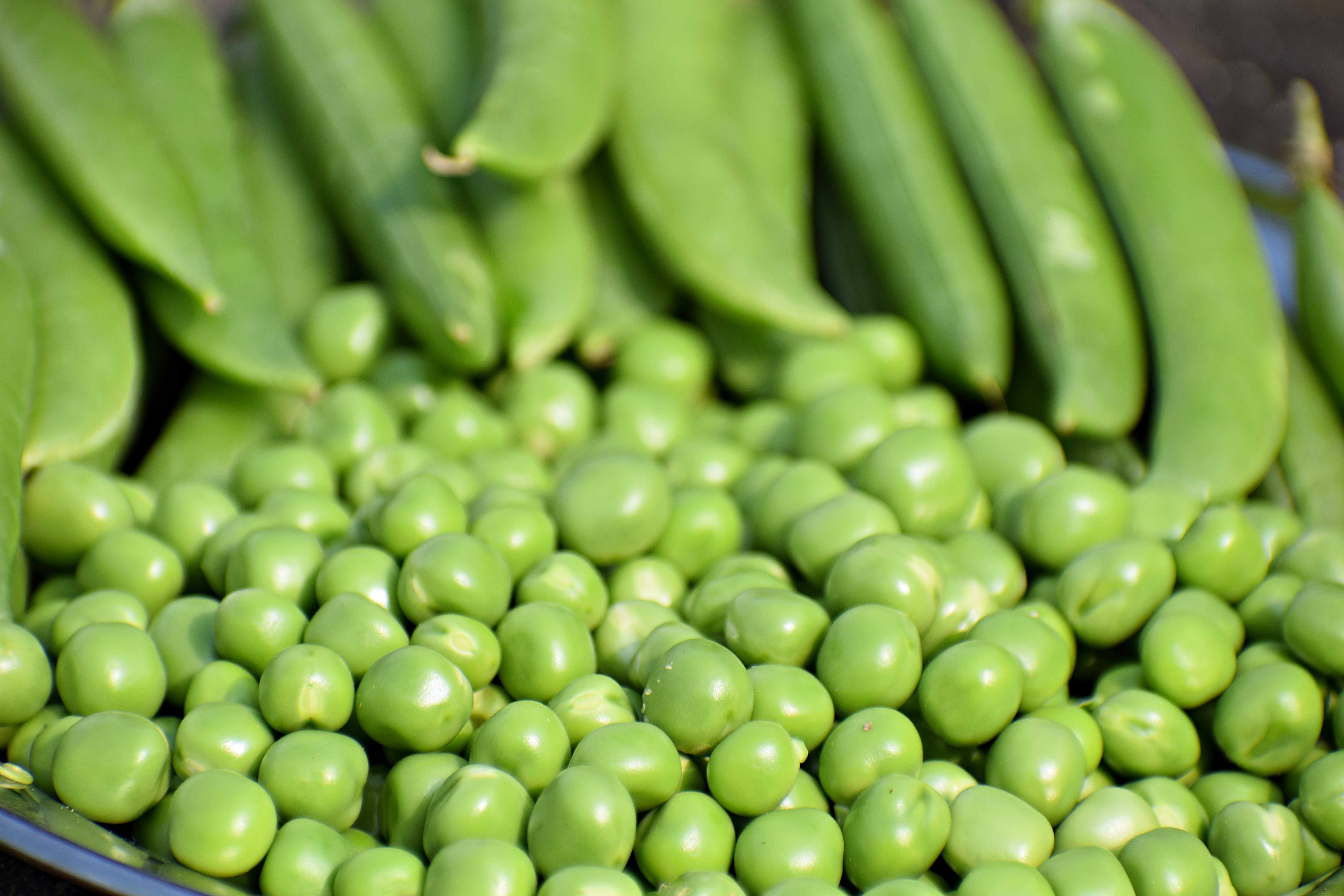 Les petits pois : Légumes ou féculents?